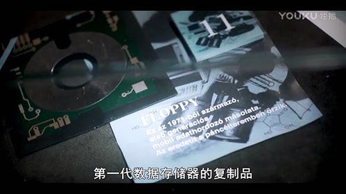 夺命代码,一场惊心动魄的数字危机