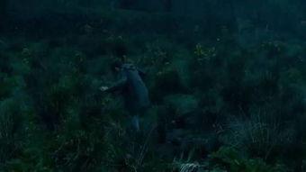 大小姐的华丽冒险,穿越时空的奇幻之旅