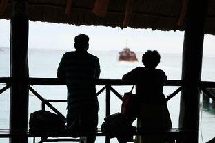 望子归来,传承家国情怀，共筑美好未来