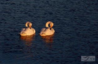 晨曦惊梦撼九州,九州风云变幻录