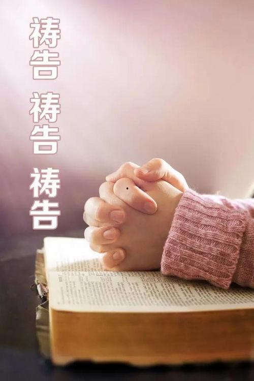 你的祈祷,探寻信仰与心灵的奇迹之旅