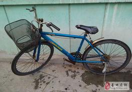 蓝色自行车,探寻城市骑行文化