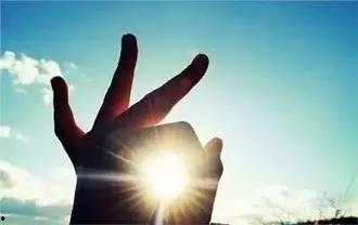 溺爱的代价(向阳花开),向阳花开背后的代价